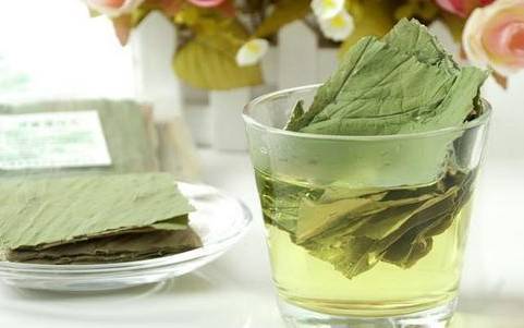 荷叶茶可以天天喝吗 荷叶茶可以天天喝吗
