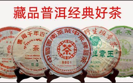 哪个牌子的普洱茶好