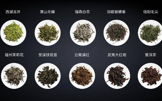 福建十大名茶品牌