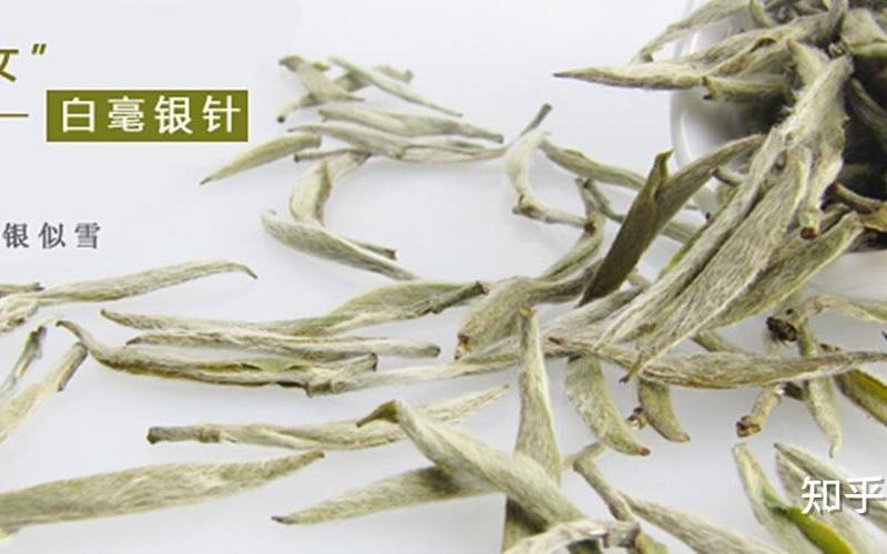 白毫银针的功效和作用