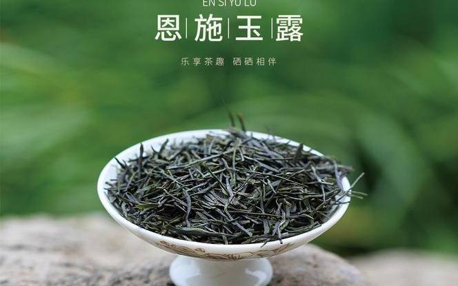 恩施玉露茶简介 恩施玉露茶简介