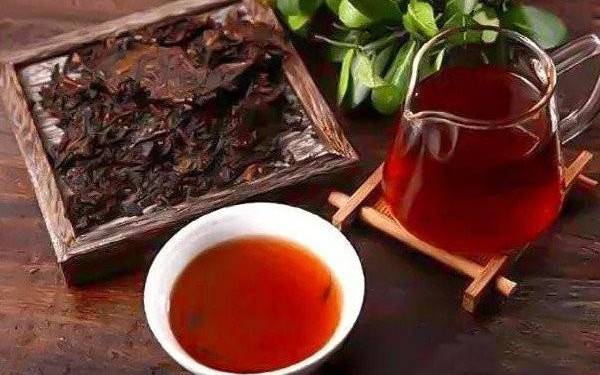熟普洱茶怎么喝才是正确喝法