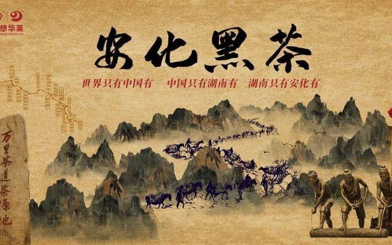 理想华莱黑茶2万8 理想华莱黑茶2万8