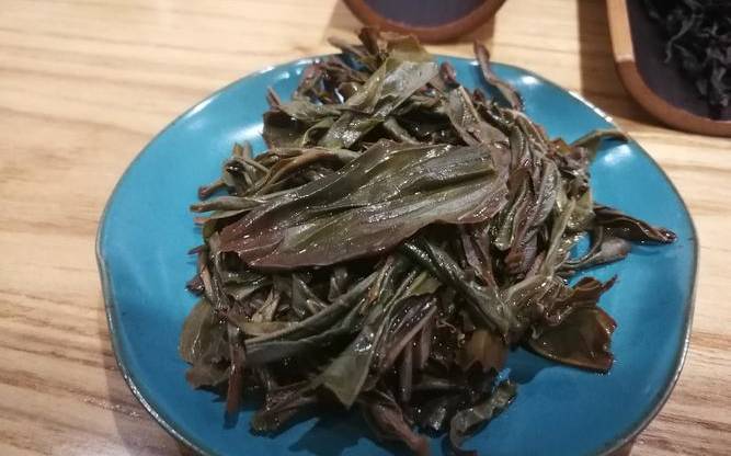 绿叶红镶边是什么茶叶