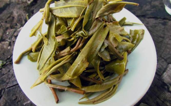 云南最好的茶叶排名 云南最好的茶叶排名