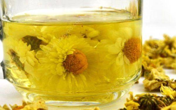泡菊花茶用多少度的水