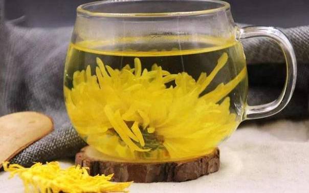 菊花和什么一起泡最好