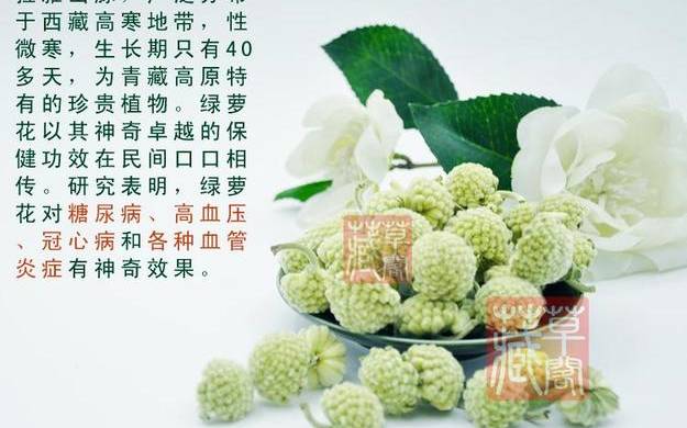 绿萝花泡水喝有什么功效 绿萝花泡水喝有什么功效