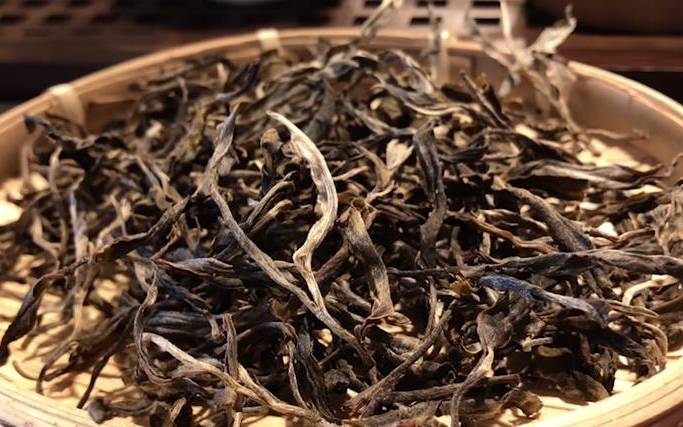 莽枝古树茶特点