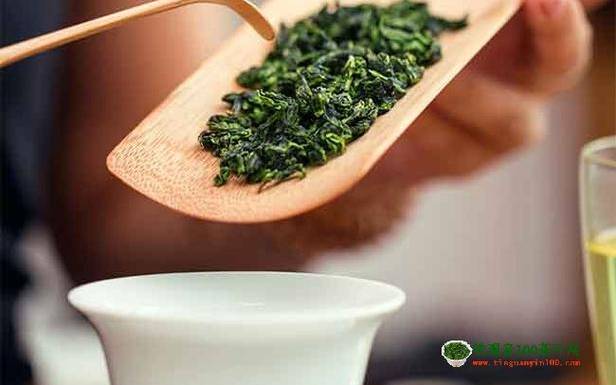 铁观音茶叶知识 铁观音茶叶知识