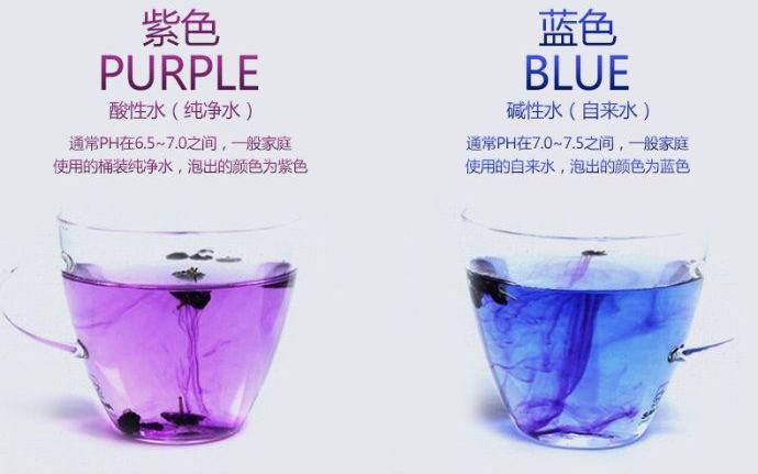 黑枸杞泡水颜色 黑枸杞泡水颜色
