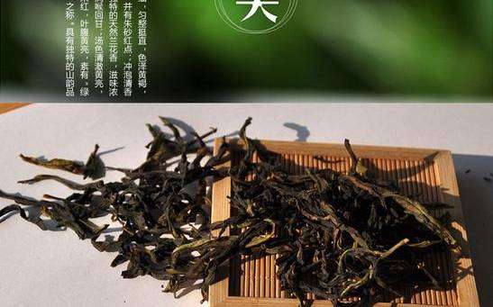 乌岽单丛茶有什么功效和作用