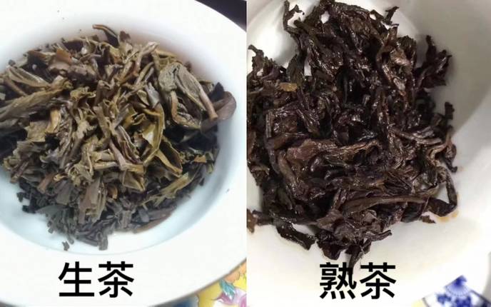 普洱熟茶与生茶的区别 普洱熟茶与生茶的区别