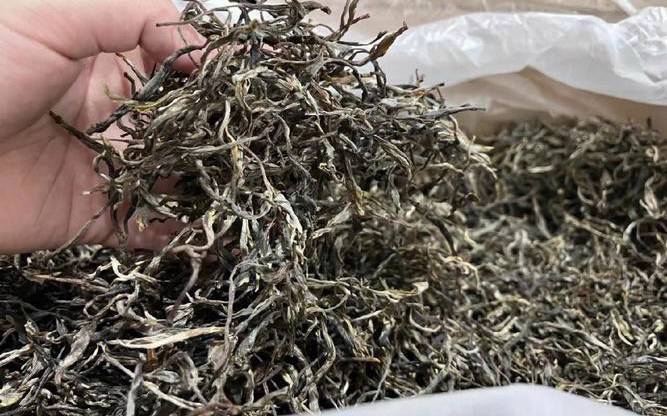 南糯山普洱茶特点
