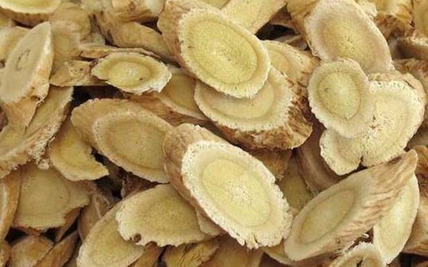 黄芪的功效与作用及禁忌 黄芪的功效与作用及禁忌