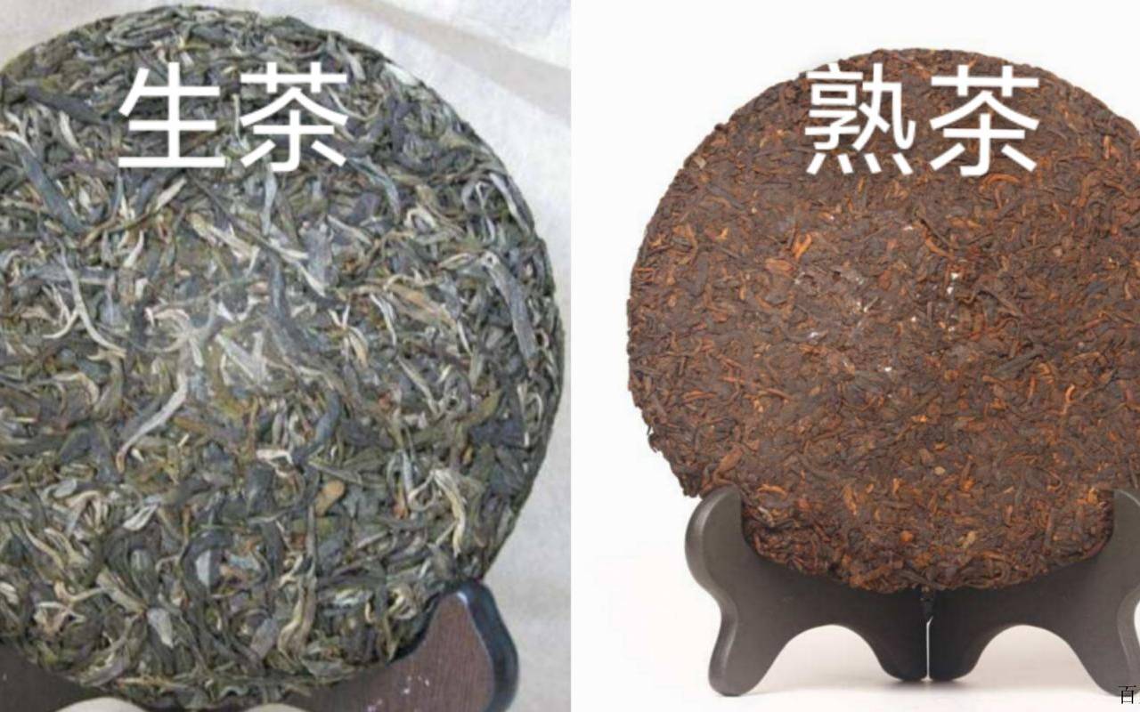 普洱茶生茶和熟茶的区别