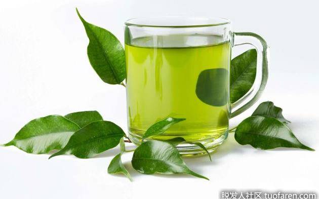 多喝绿茶的好处和坏处 多喝绿茶的好处和坏处