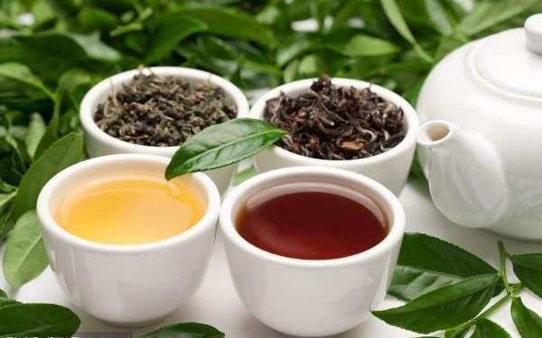 什么茶不影响睡眠 什么茶不影响睡眠