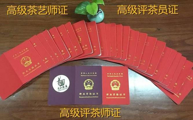 考个茶艺师证大概需要多少钱 考个茶艺师证大概需要多少钱