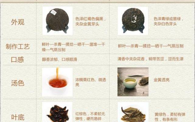 普洱茶生茶熟茶功效
