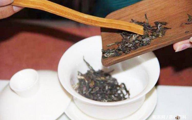 普洱生茶的冲泡方法 普洱生茶的冲泡方法