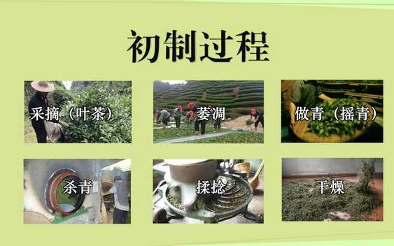乌龙茶制作工艺流程 乌龙茶制作工艺流程