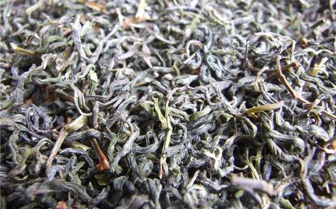 老鹰茶的功效与作用