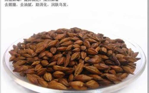 大麦茶有减肥的功效吗 大麦茶有减肥的功效吗