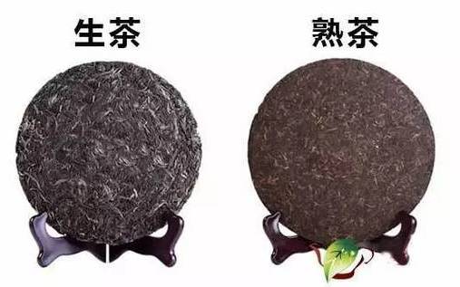 普洱茶生茶和熟茶有何区别 普洱茶生茶和熟茶有何区别