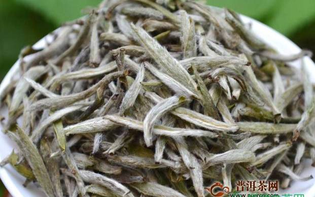 白茶价格一般多少钱一斤 白茶价格一般多少钱一斤