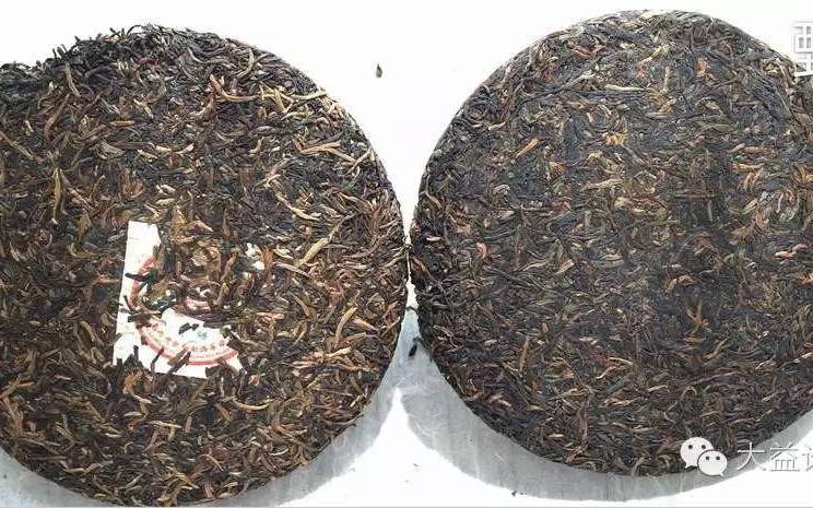 普洱茶怎么分辨好坏