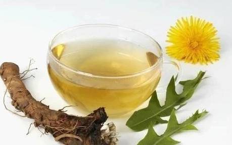 蒲公英茶可以天天喝 蒲公英茶可以天天喝