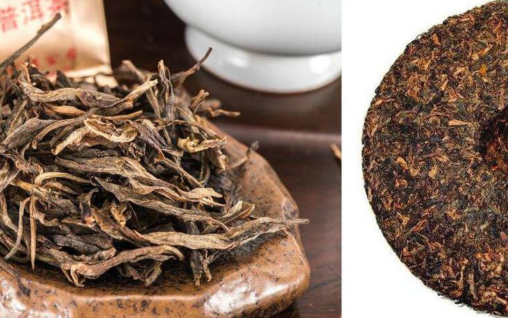 普洱茶属于红茶 普洱茶属于红茶