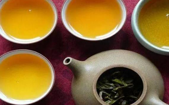 普洱茶生茶怎么泡最好