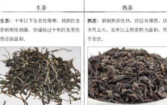 普洱属于什么类型的茶 普洱属于什么类型的茶