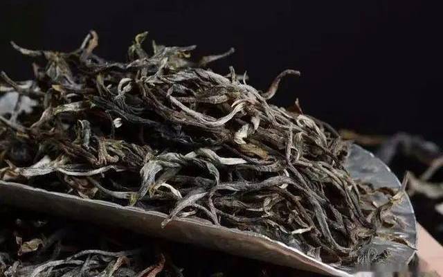 古树茶的功效与作用