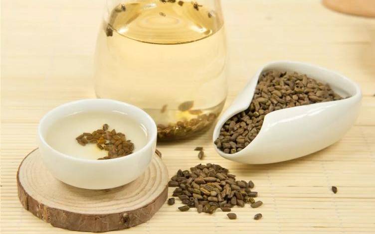 喝决明子茶的好处和坏处 喝决明子茶的好处和坏处