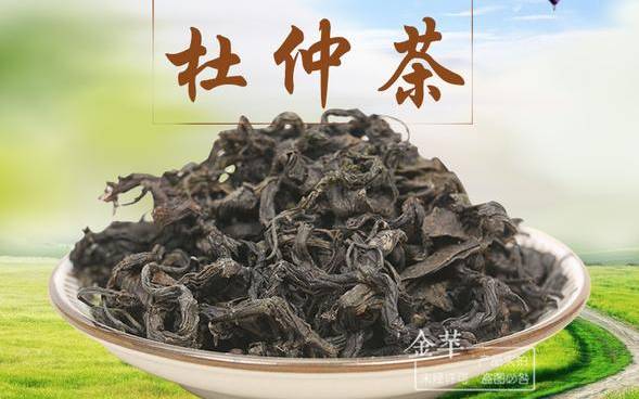 杜仲茶多少钱一斤 杜仲茶多少钱一斤