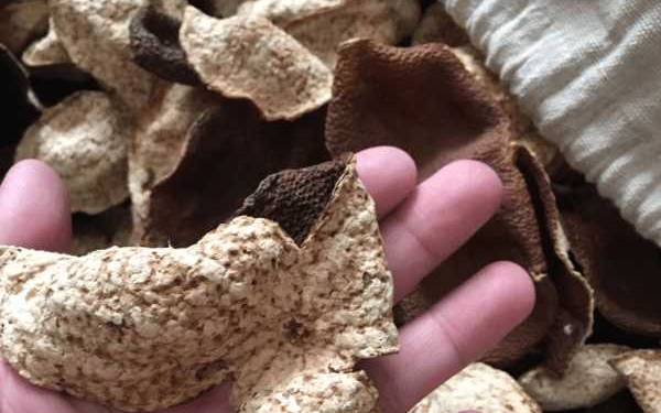 自己如何做陈皮