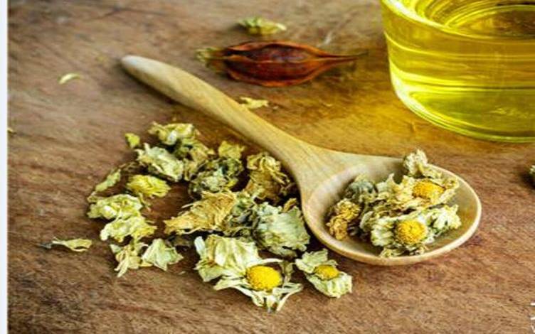 菊花茶的功效与作用及禁忌 菊花茶的功效与作用及禁忌