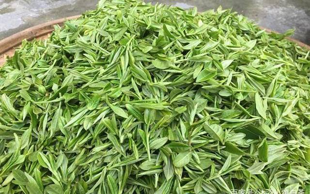 茶叶几斤鲜叶炒一斤 茶叶几斤鲜叶炒一斤