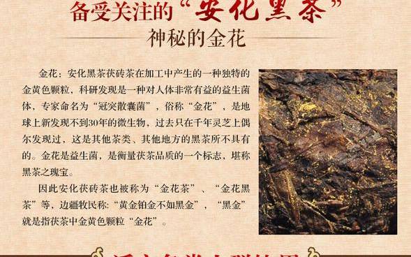 安化黑茶的功效与作用