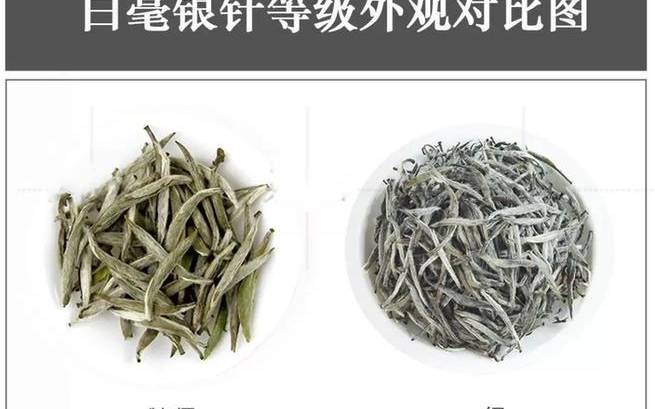 白茶的价格是多少钱一斤 白茶的价格是多少钱一斤