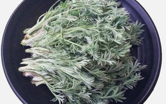 茵陈能长期泡水喝吗 茵陈能长期泡水喝吗