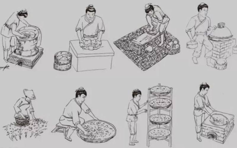 绿茶的制作工艺流程