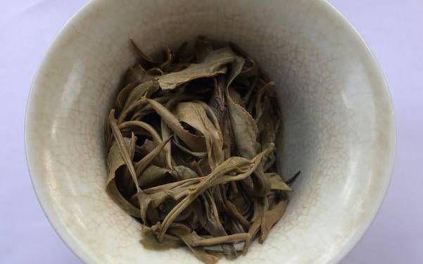 班盆古树茶特点 班盆古树茶特点