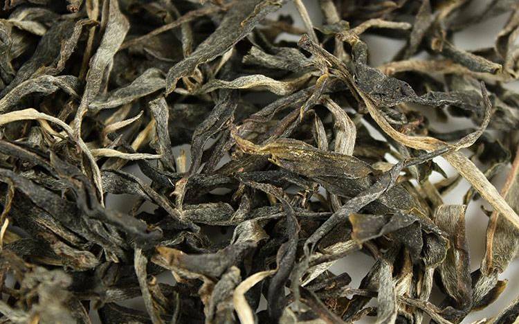 忙肺山古树茶特点 忙肺山古树茶特点