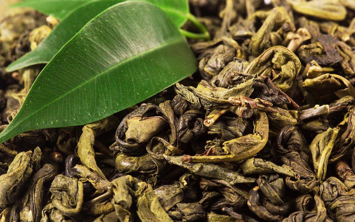 鹧鸪茶的功能和作用 鹧鸪茶的功能和作用