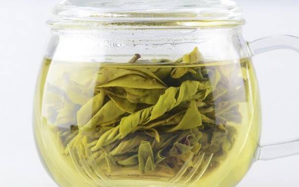 苦丁茶的功效与禁忌 苦丁茶的功效与禁忌