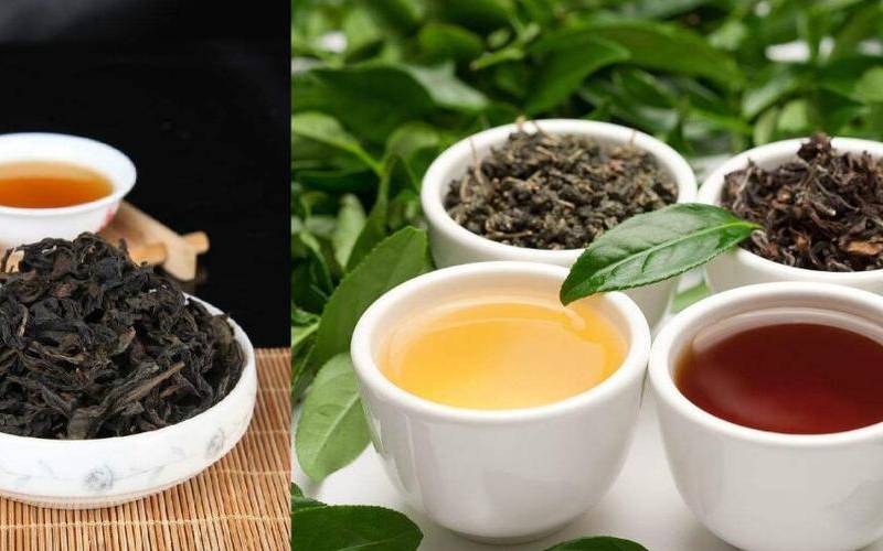 乌龙茶有哪些品种 乌龙茶有哪些品种